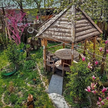 Guest House "Svaneti" Lentekhi 外观 照片