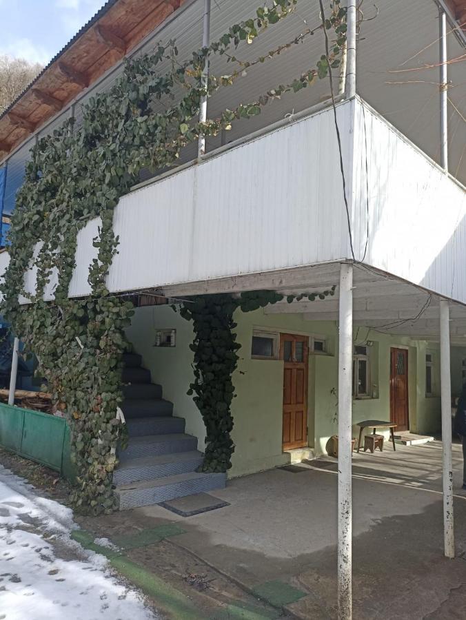 Guest House "Svaneti" Lentekhi 外观 照片