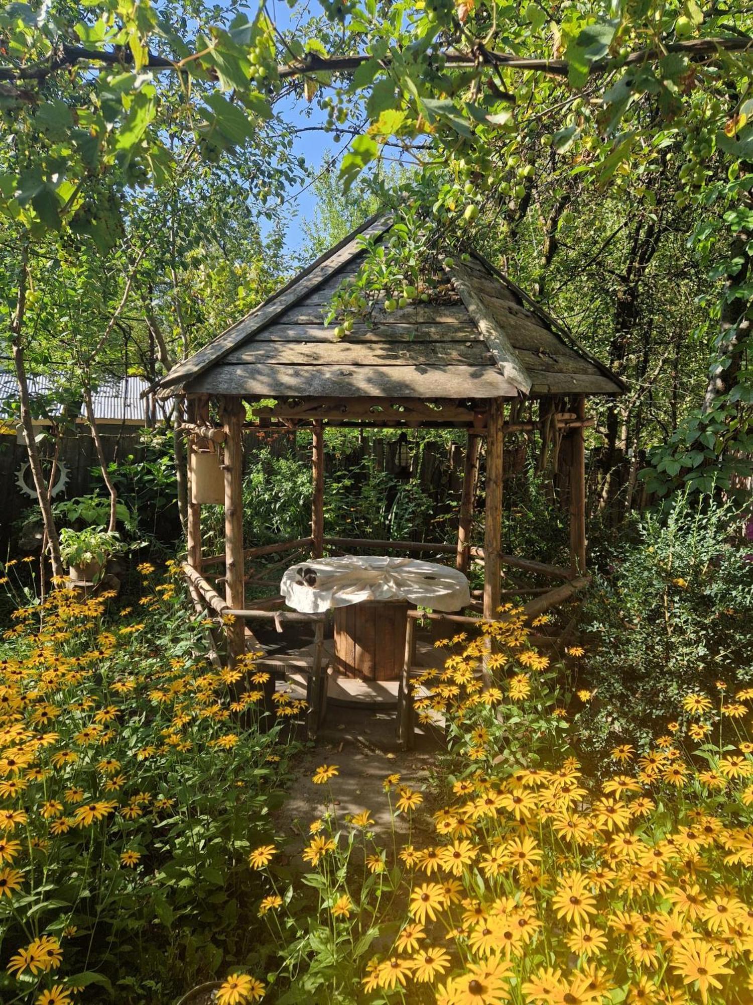 Guest House "Svaneti" Lentekhi 外观 照片