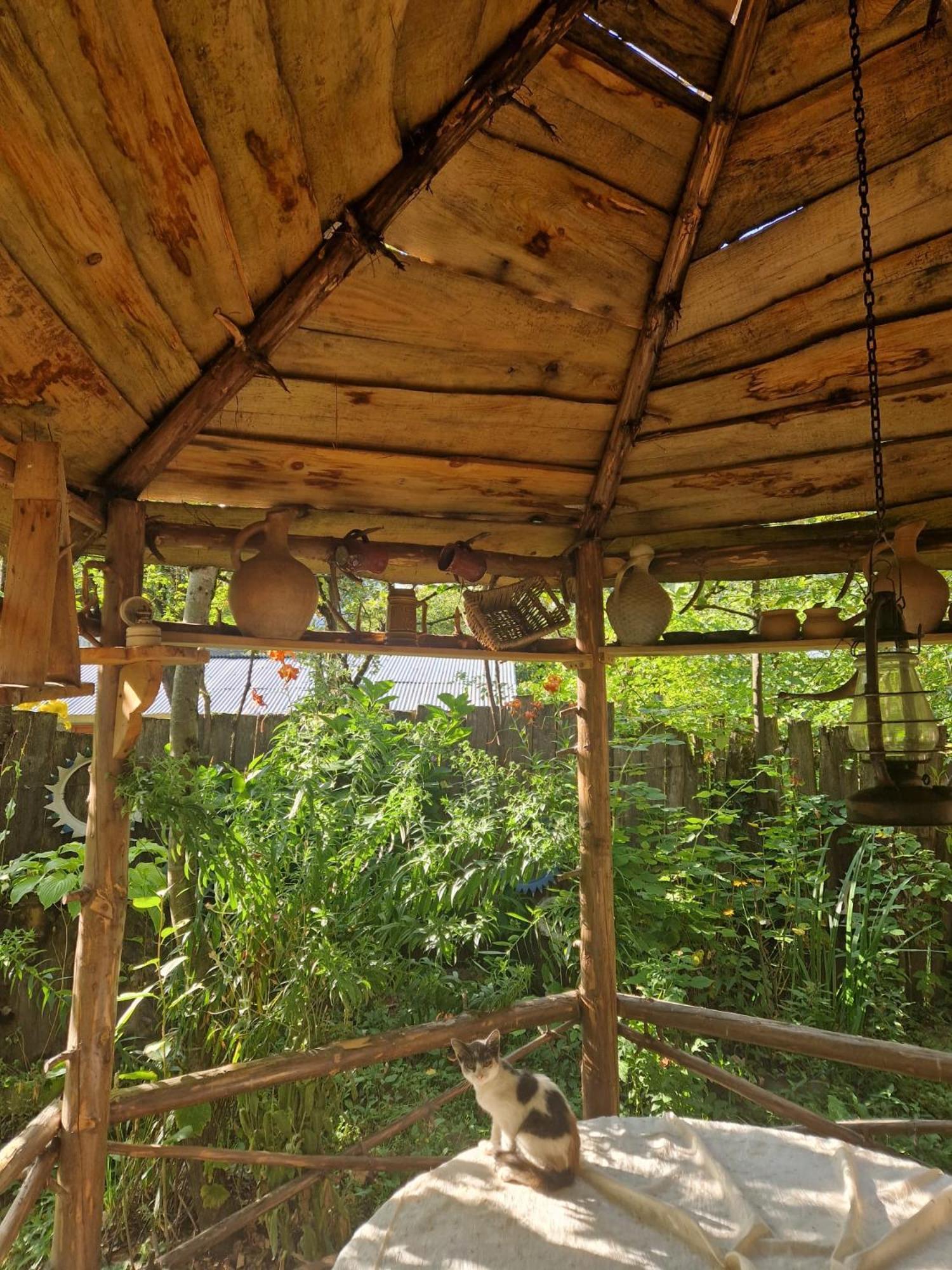 Guest House "Svaneti" Lentekhi 外观 照片