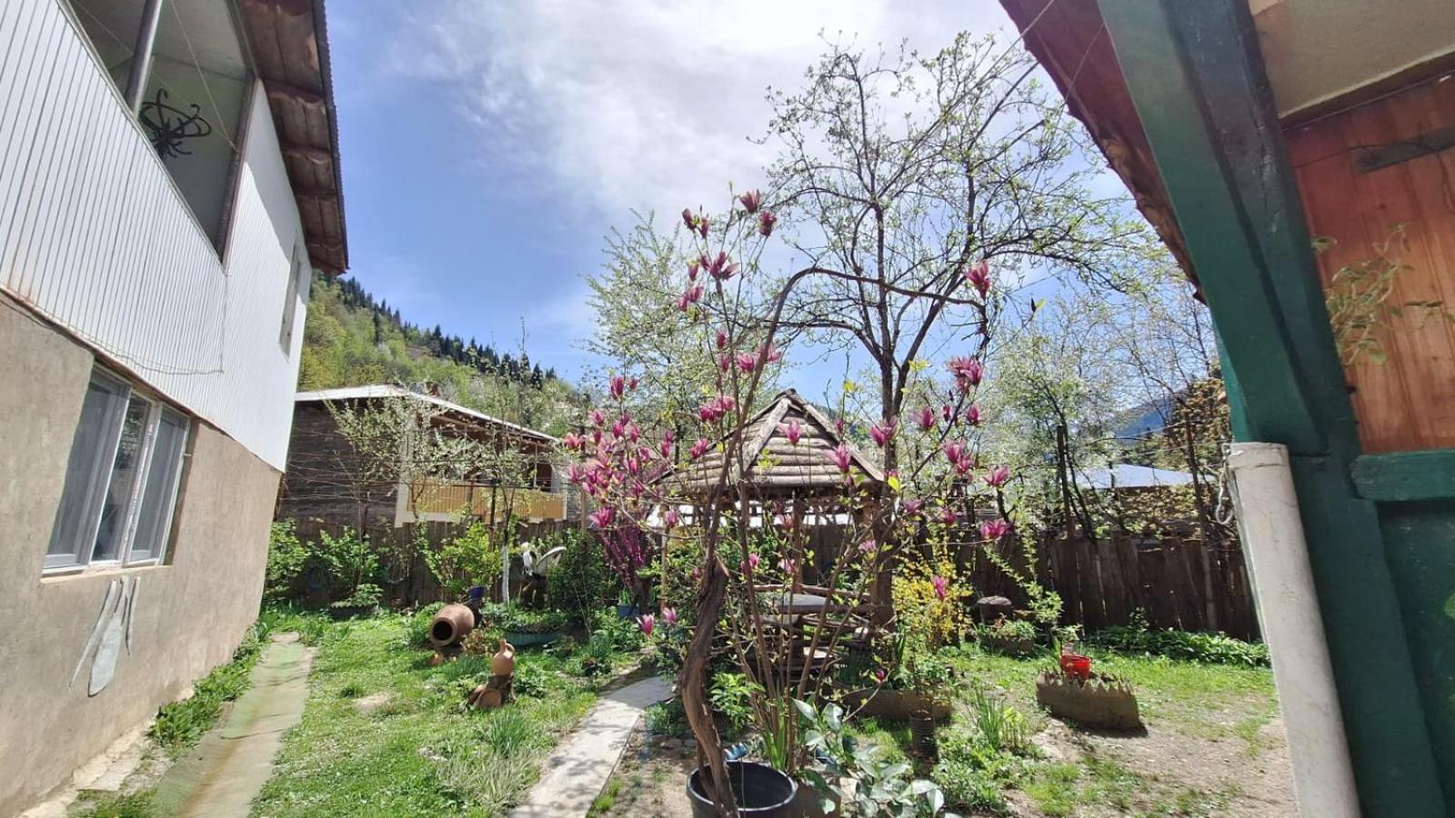 Guest House "Svaneti" Lentekhi 外观 照片