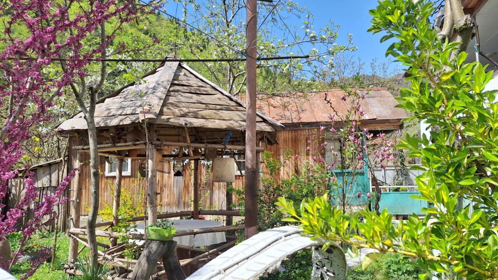 Guest House "Svaneti" Lentekhi 外观 照片