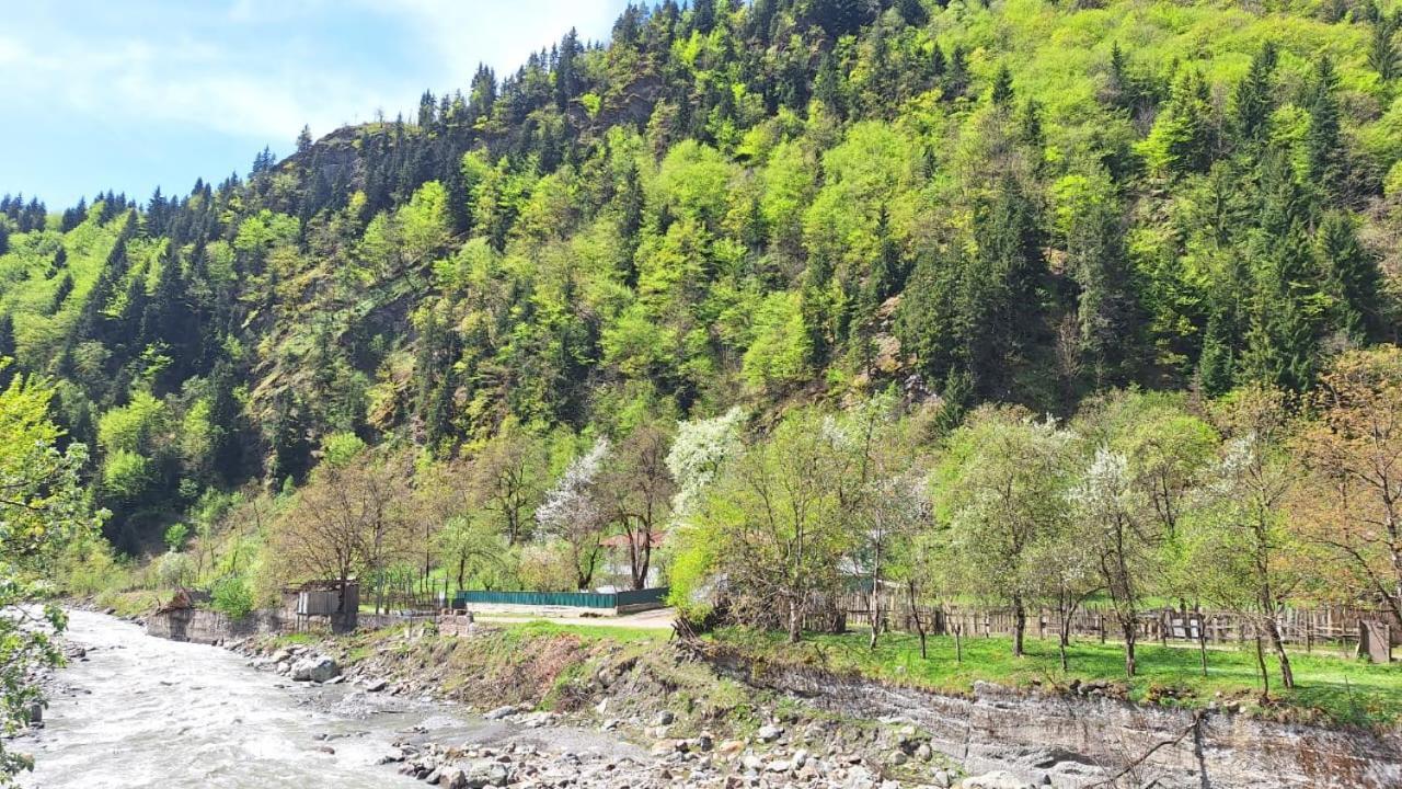 Guest House "Svaneti" Lentekhi 外观 照片