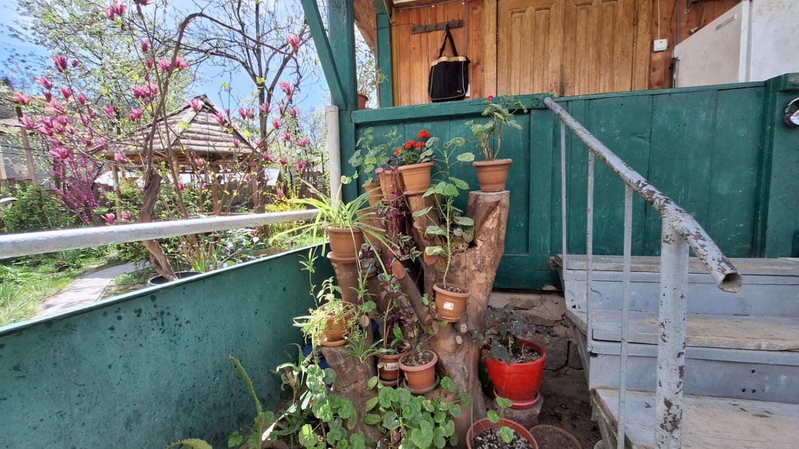 Guest House "Svaneti" Lentekhi 外观 照片