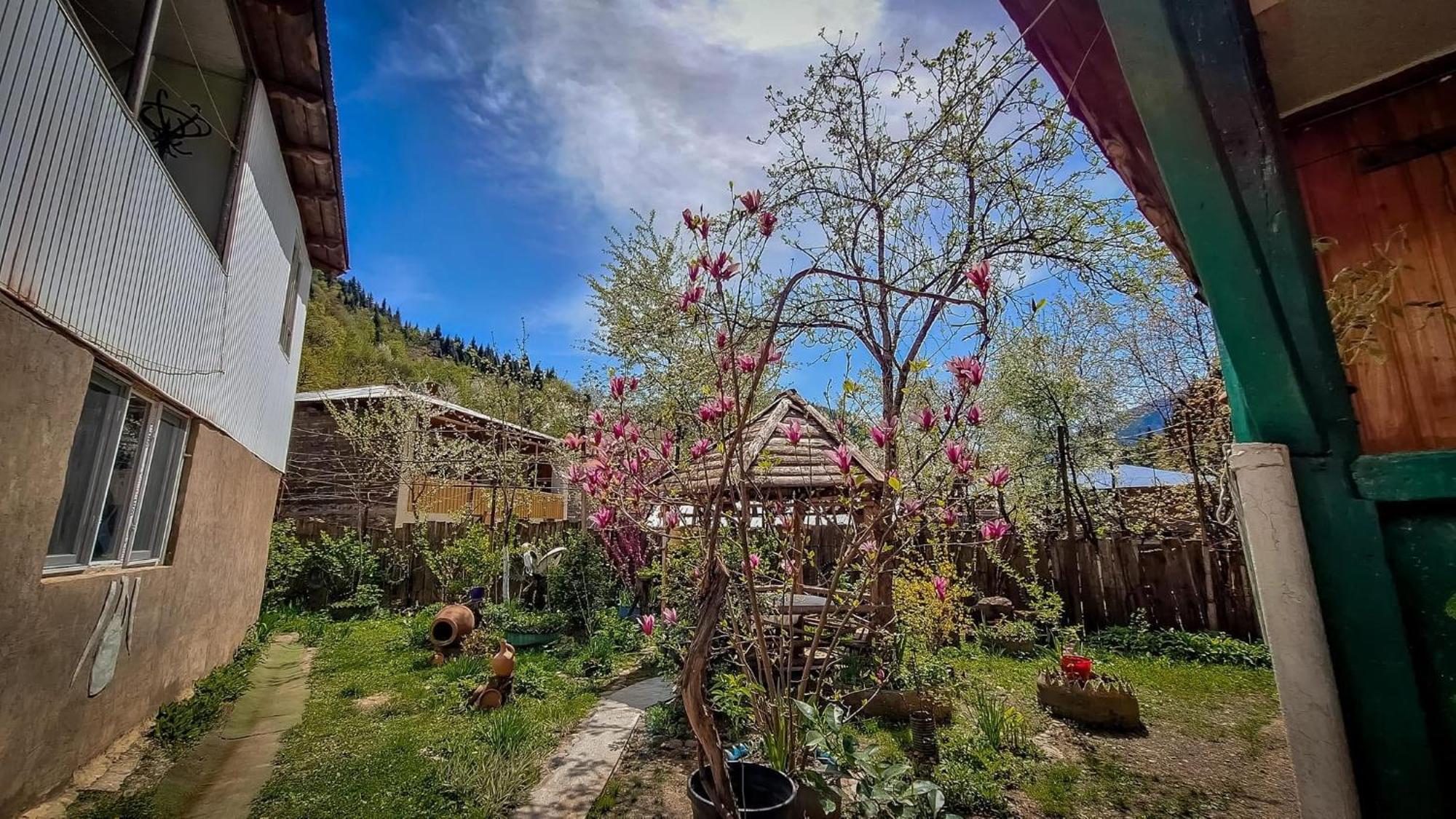 Guest House "Svaneti" Lentekhi 外观 照片