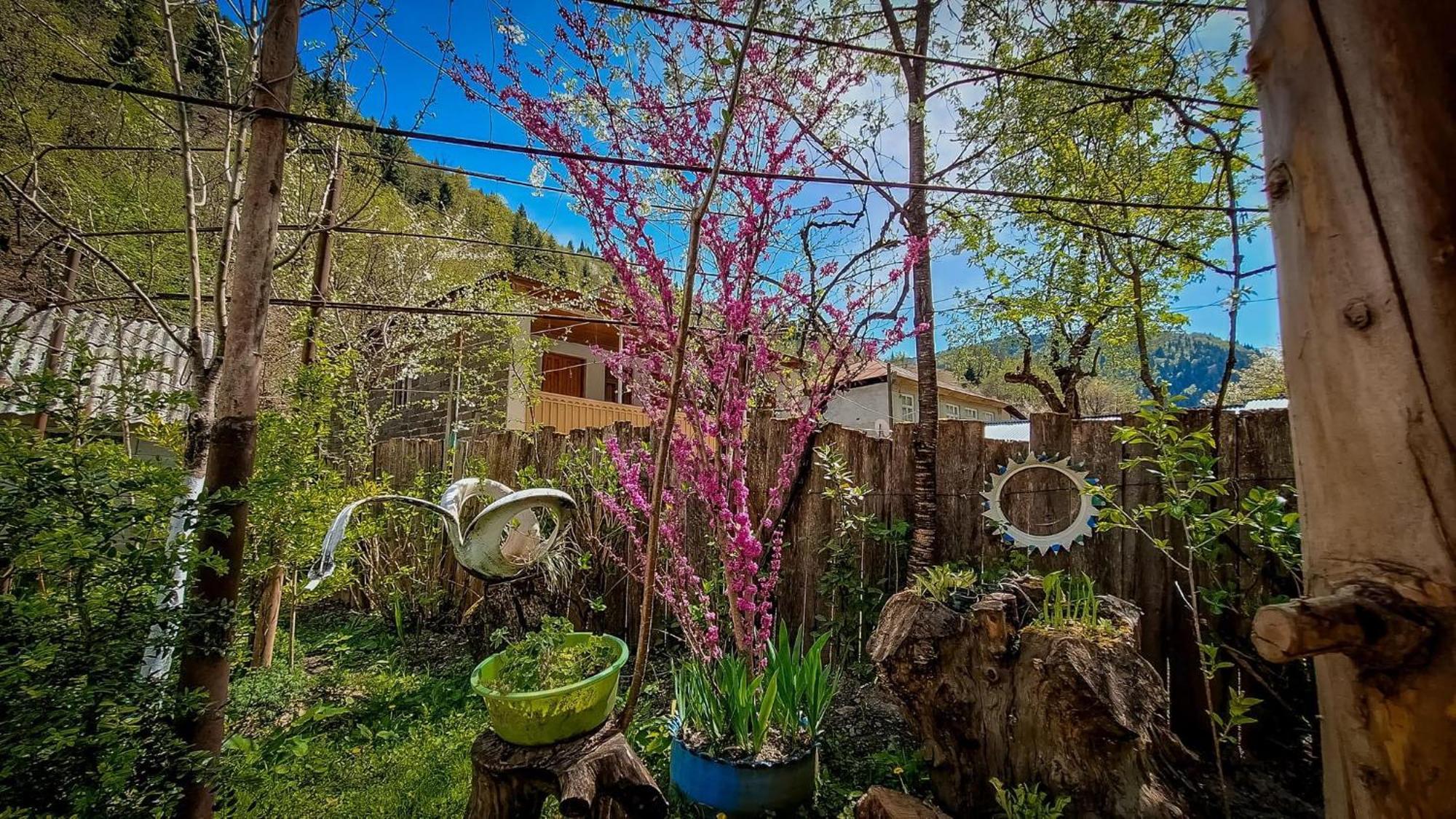 Guest House "Svaneti" Lentekhi 外观 照片