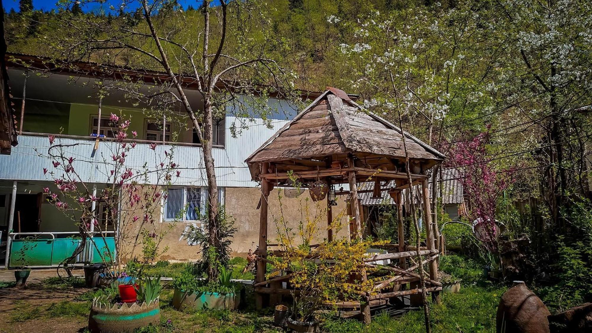 Guest House "Svaneti" Lentekhi 外观 照片